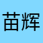 苗辉辉