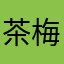 茶梅梅ᰔᩚ