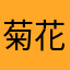 菊花亮晶晶