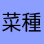 菜種油12