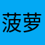 菠萝0562