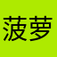 菠萝no