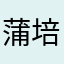 蒲培英