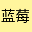 蓝莓味🫐