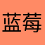 蓝莓用户