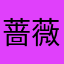 蔷薇战乙女