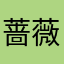 蔷薇紫玫瑰