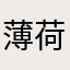 薄荷街的小喵喵