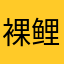 裸鲤