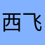 西飞夜行