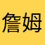 詹姆斯斯瓦大锤