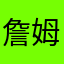 詹姆斯的大哥