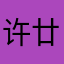 许廿观