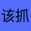 该抓这个软件