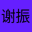 谢振金
