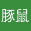 豚鼠妹