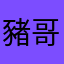豬哥憲