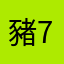 豬77