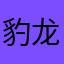 豹龙111