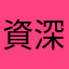 資深副總裁
