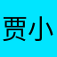 贾小淘