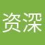 资深游戏评论员