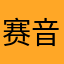 赛音