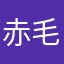 赤毛の猫