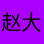 赵大宝的小宝