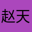 赵天睿2006
