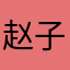 赵子宇88