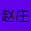 赵庄大力丸