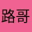 路哥完赛