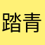 踏青1989