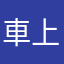 車上使用