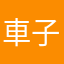 車子漂亮