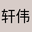 轩伟王