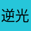 逆光的飞鸟
