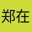 郑在写代码