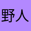 野人盖达