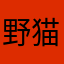 野猫051205