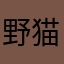 野猫11111111