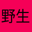野生のイッヌ軍団