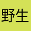 野生のダブチ