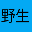 野生のミーミー