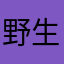 野生の異常乱流帯