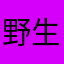 野生何