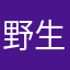 野生动物园里的狗狗