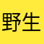 野生吴京