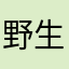 野生哈维￼